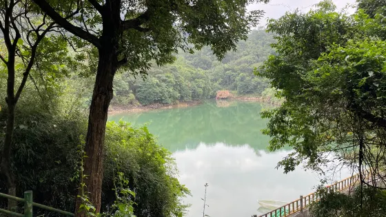 廣東觀音山國家森林公園-感恩湖