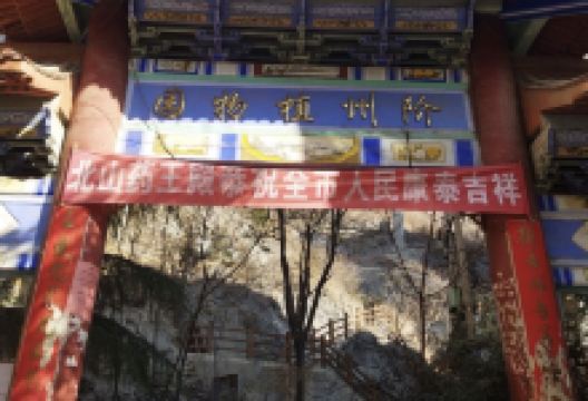 阶州植物园景点图片