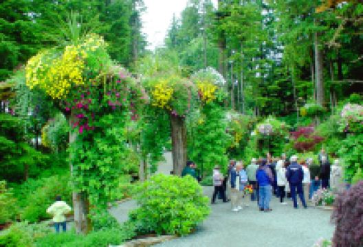 Rainforest Adventures Zoo景点图片