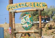 Iguana Beach景点图片