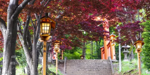 新倉山淺間公園