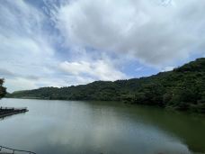 梅花湖-宜兰-岱山香橙