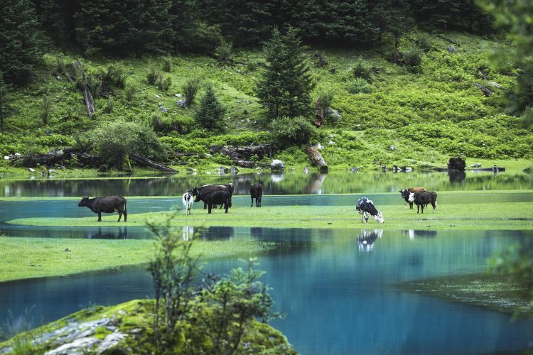 月亮湖景点图片
