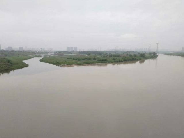 高陵泾渭湿地观光园旅行图片 1