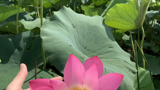 水西公園