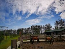 高邮-蔡蔡的蔡❤️