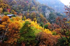 少华山国家森林公园-渭南-C-IMAGE