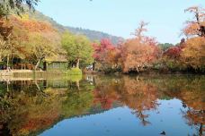林州天平山风景区-林州-瑶瑶恺恺