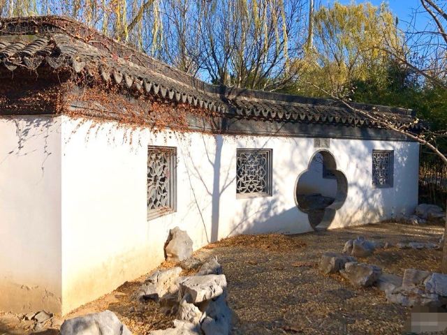 花博会主题公园旅行图片 4