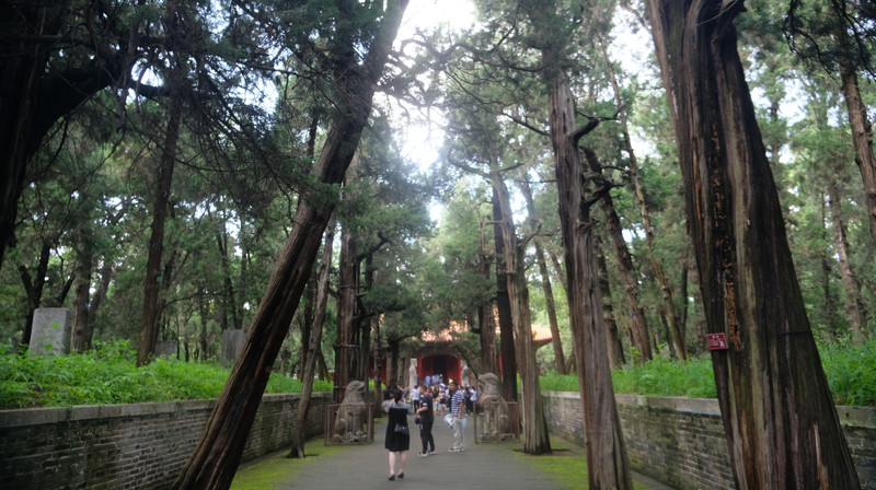 曲阜孔府孔庙孔林一日游,曲阜5a景区