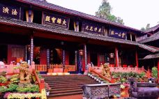 报国寺-峨眉山-轻轻的一个蚊