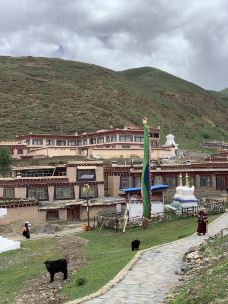 白塔公园-理塘-酒仙老周