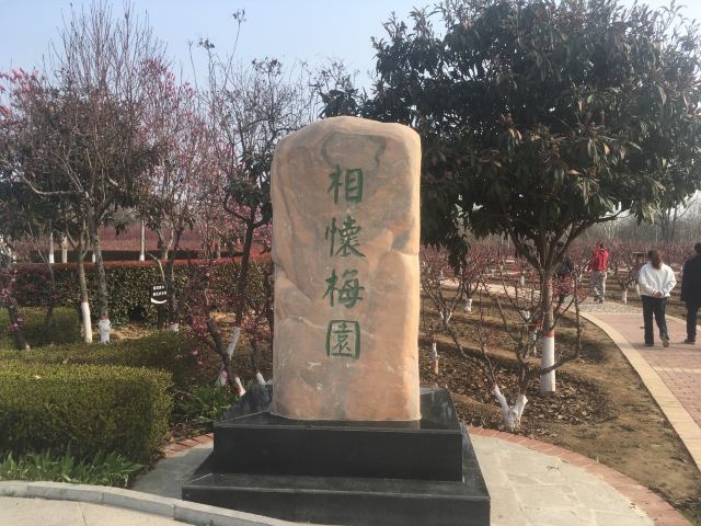 怀德公园旅行图片 2