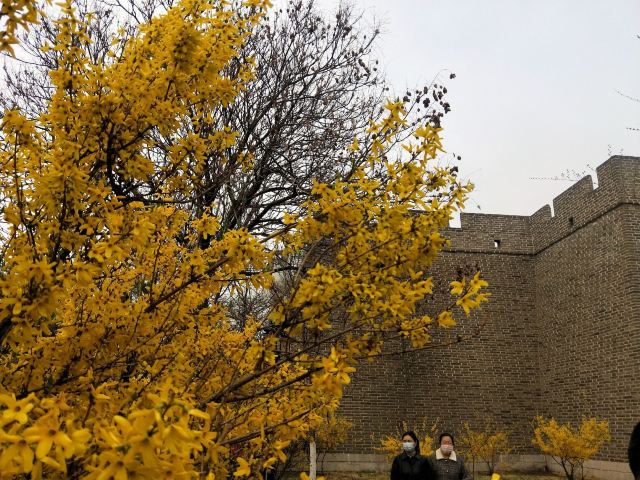 宣化人民公园旅行图片 12
