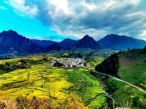 梅干岭梯田,油菜花与徽派古村落交相辉映,构成一道靓丽的风景线