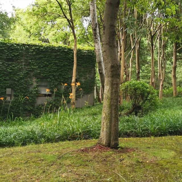 清水音公园旅行图片 3