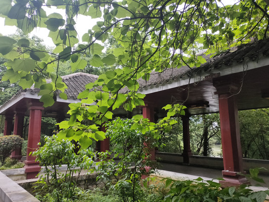 花溪公园,一水四山铸秀景(下)——贵州8日(32)