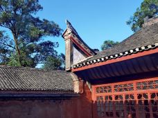 真武山城市森林公园-宜宾-路上50