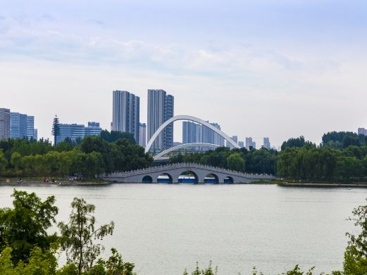 蝶湖公园