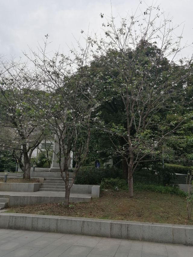 武汉大学信息学部-竹园旅行图片 2