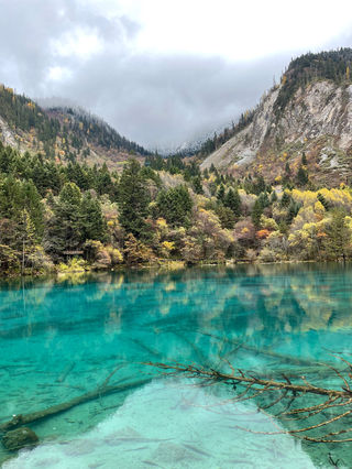 黄龙&九寨沟，绝美！