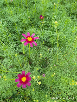 一路风景——我要游遍全中国  玩嗨了的鼠年暑期旅程之湖北篇超级详细流水账