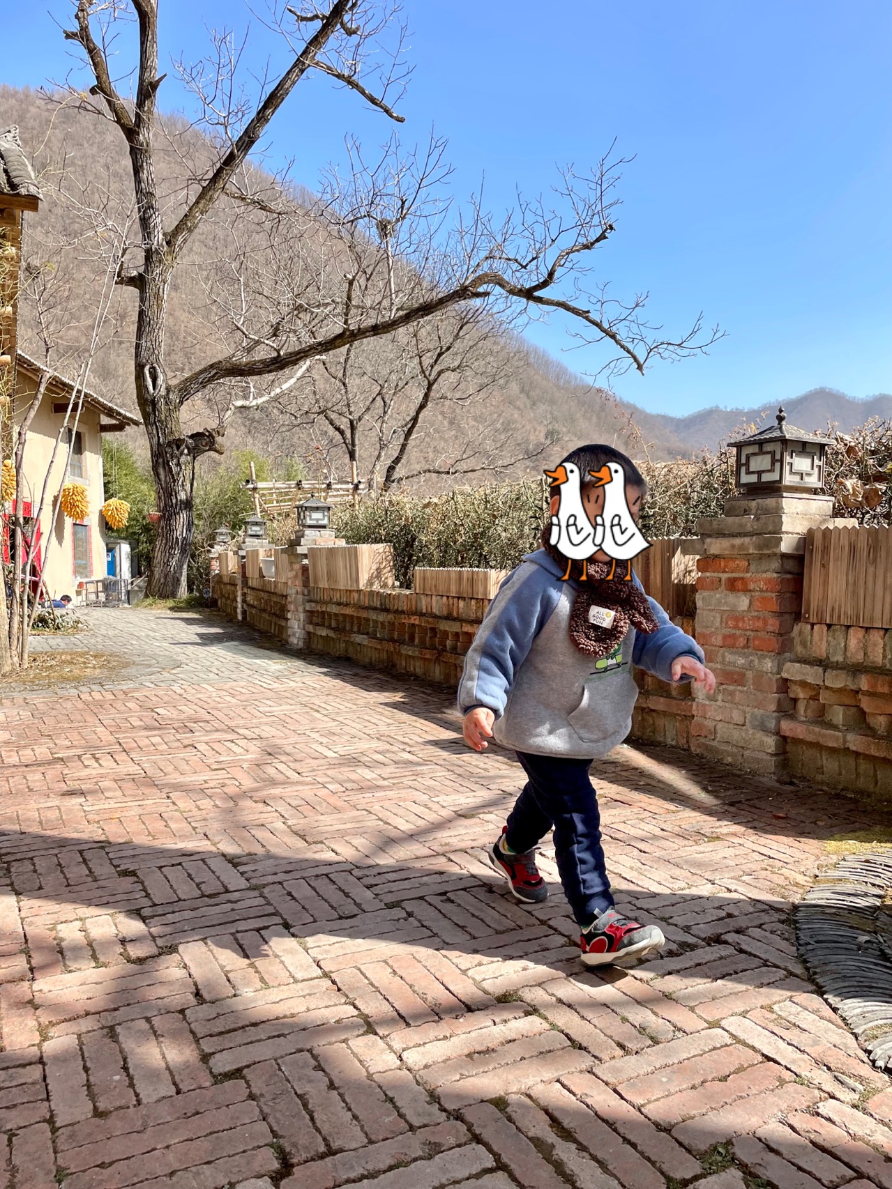阳坡院子餐厅餐厅图片