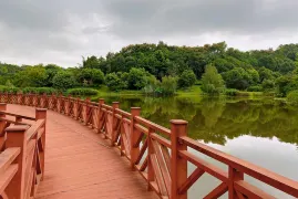 3-Day Zigong Tour: Colorful Lantern Night Tour, Dinosaur Kingdom and Ancient Town Charm