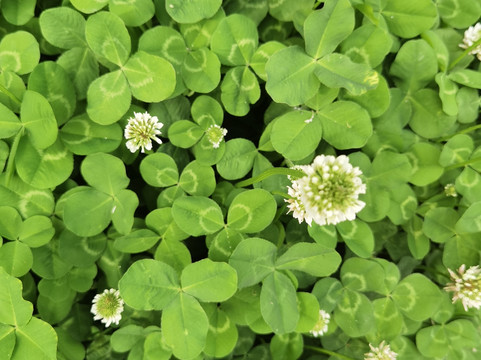 野三坡荣逸四季童话酒店主图