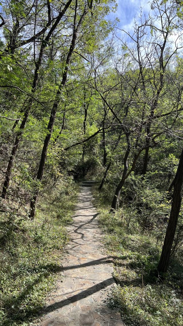 白云山山体公园旅行图片 4