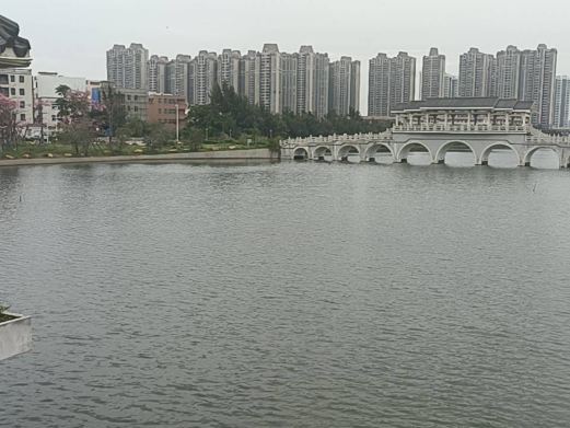 凤岗妈湿地公园