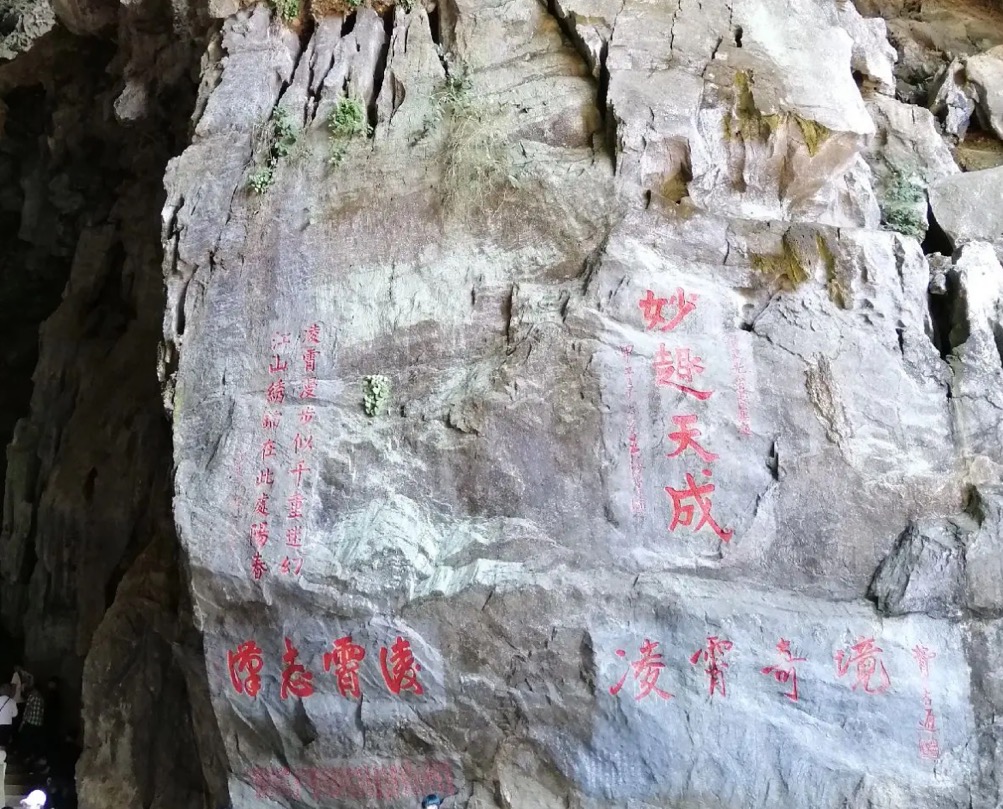 양춘 3일 투어: 포레스트 파크에서 위시/옥계 삼동까지, 맹그로브 생태 체험