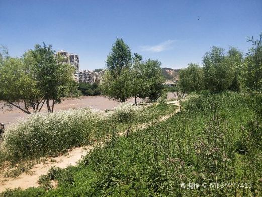 滩尖子湿地公园