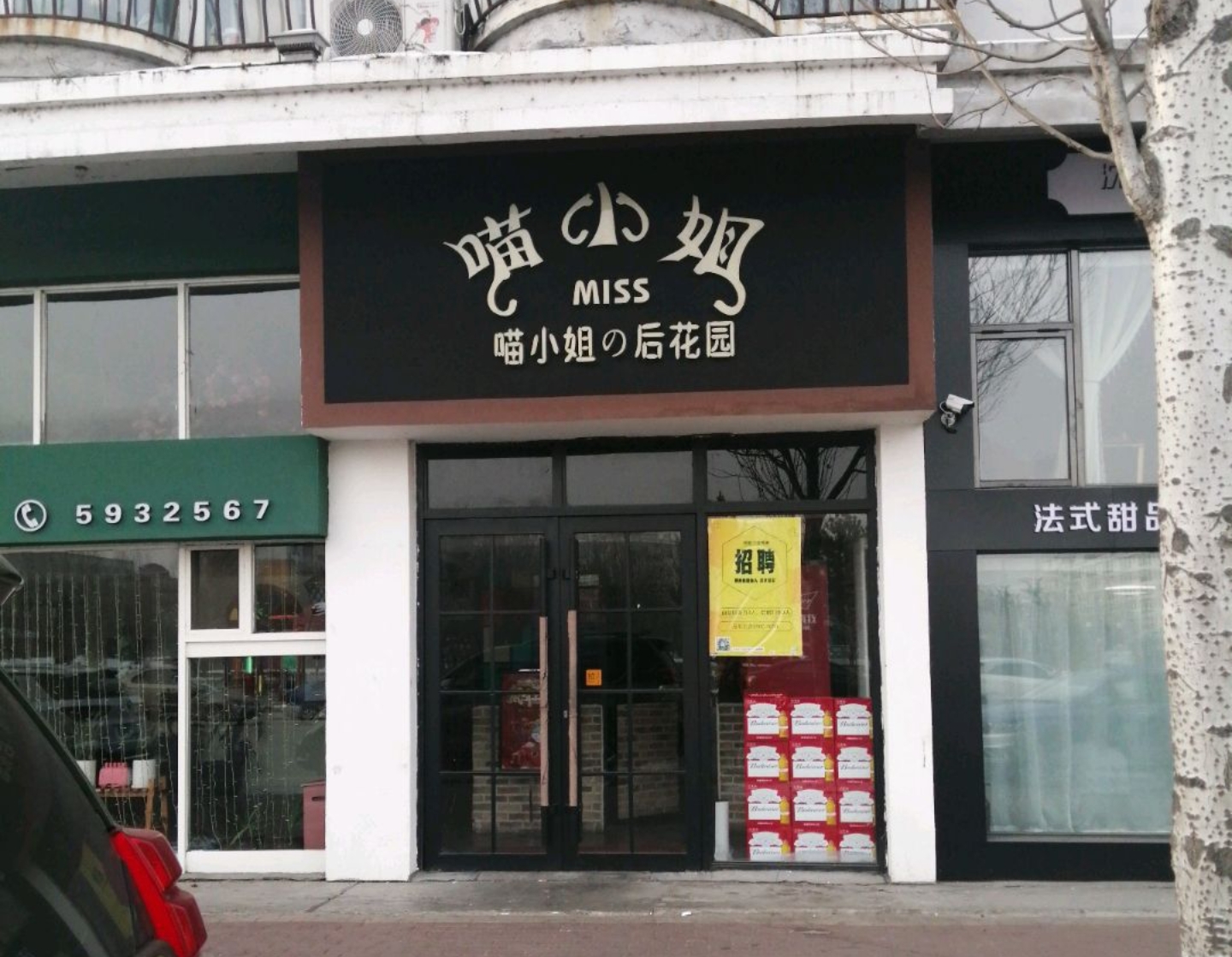 喵小姐的后花园