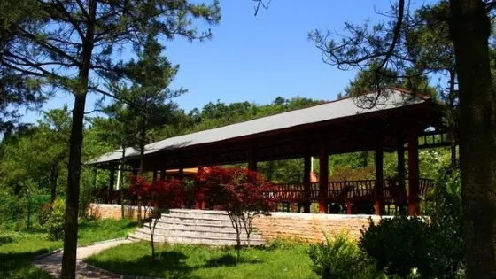 七指峰森林公園
