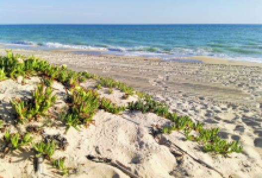 法鲁海滩景点图片