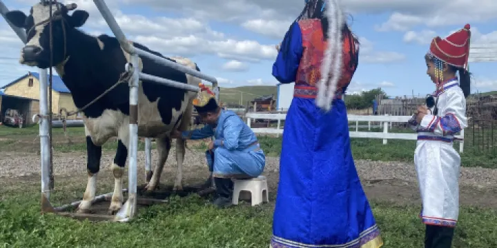 額爾古納市黑山頭夢之源牧場