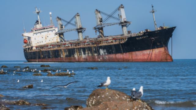 搁浅货轮布鲁维斯号