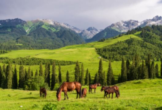 恰西草原风景旅游区景点图片