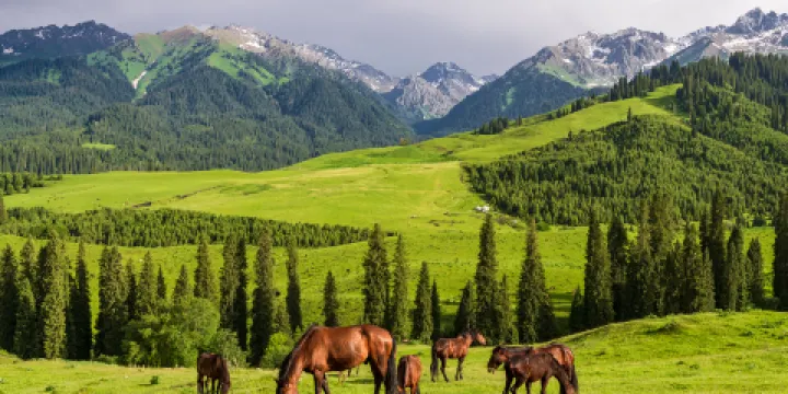 恰西草原風景旅遊區