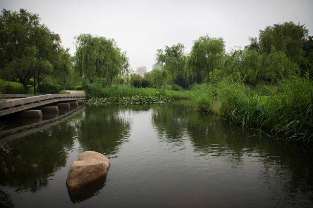 李村河生态全景示范园旅行图片 2