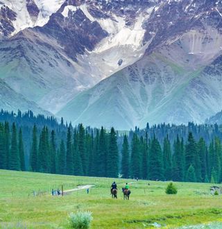 国内跨省游恢复开放，下半年的旅行计划给你安排好了！