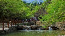 黄花溪-青州-C-IMAGE