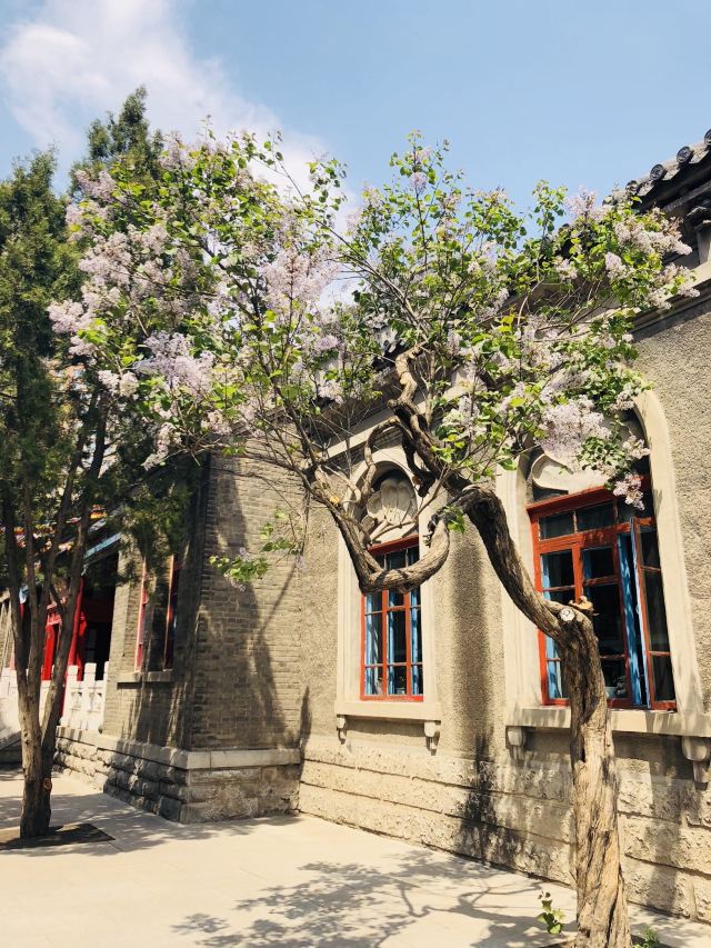 护国般若寺旅行图片 5
