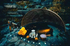 腾冲游记图片] 被《天天向上》安利的腾冲温泉，美好不止一面