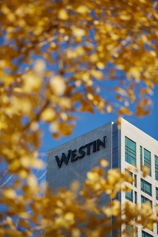 北京金融街威斯汀大酒店 · 总经理带你吃喝玩乐