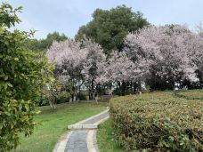 翠竹公园-常州-YoYo_0U9H9C1K