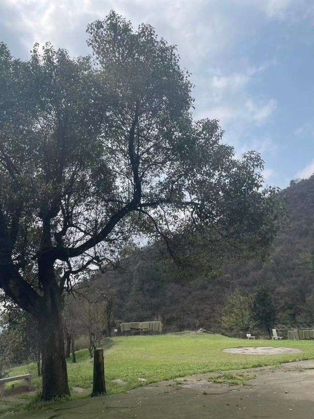 长沙黑麋峰森林公园旅行图片 6