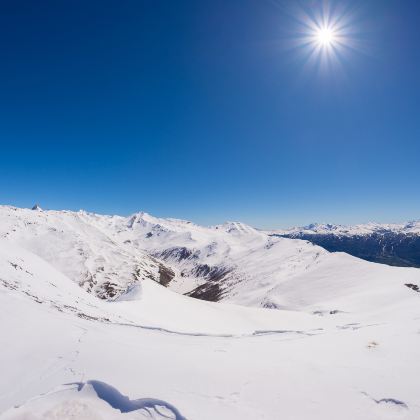 意大利+法国+瑞士+德国14日跟团游