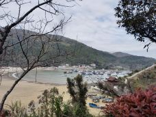 渔寮风景区-苍南-唏哩呼噜小猪猪